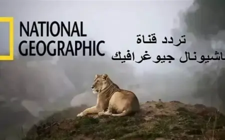 أسرع طريقة لتنزيلها.. تردد قناة ناشيونال جيوغرافيك الجديد 2024 على قمر نايل سات وعرب سات بجودة عالية HD