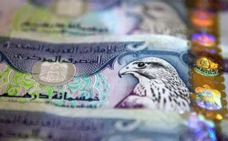 سعر الدرهم الإماراتي اليوم مقابل الجنيه المصري في السوق السوداء والبنوك المصرية اليوم الثلاثاء 27 اغسطس 2024