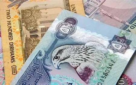 سعر الدرهم الإماراتي مقابل الجنيه المصري في السوق السوداء اليوم السبت 7 سبتمبر 2024 وداخل البنوك