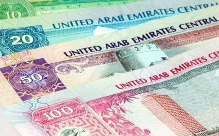 سعر الدرهم الإماراتي مقابل الجنيه المصري في السوق السوداء اليوم السبت 31 اغسطس 2024 وداخل البنوك الرسمية