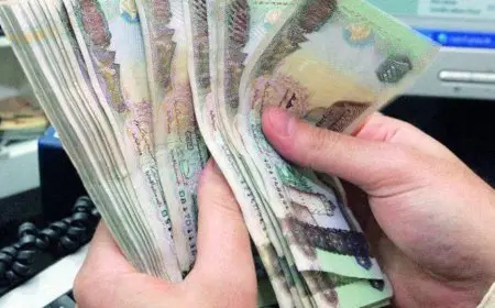 سعر الدرهم الإماراتي مقابل الجنيه المصري في السوق السوداء اليوم الاثنين 26 اغسطس 2024 وداخل البنوك