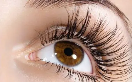 سر الرموش الطويلة والكثيفة في أسبوع بس؟! اكتشفي الوصفة الطبيعية اللي هتغنيكي عن الرموش الصناعية