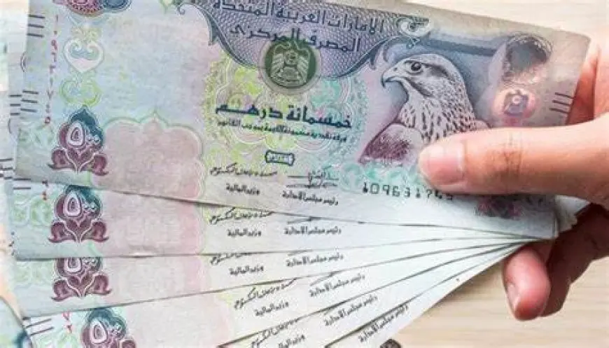 سعر الدرهم الإماراتي مقابل الجنيه المصري في السوق السوداء اليوم الاثنين 9 سبتمبر 2024 وداخل البنوك