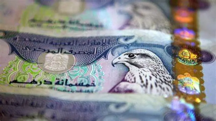 سعر الدرهم الإماراتي اليوم مقابل الجنيه المصري في السوق السوداء والبنوك المصرية اليوم الثلاثاء 27 اغسطس 2024