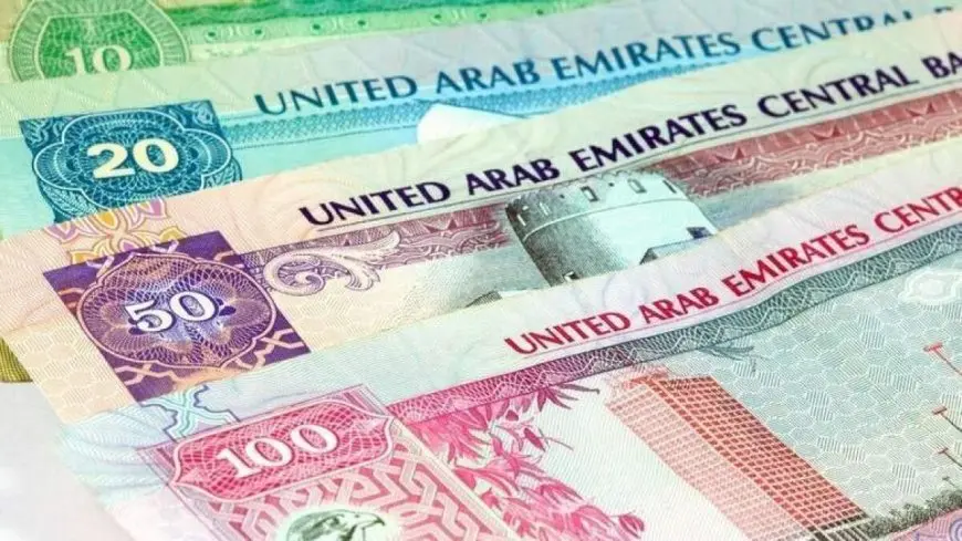 سعر الدرهم الإماراتي مقابل الجنيه المصري في السوق السوداء اليوم السبت 31 اغسطس 2024 وداخل البنوك الرسمية