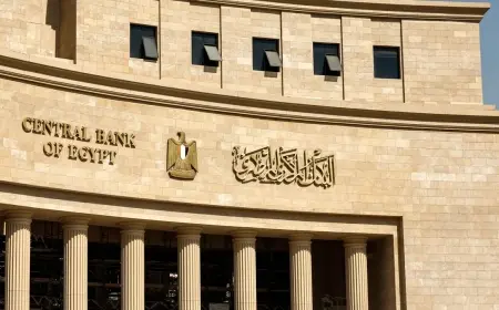 البنك المركزي المصري يعلن عن ارتفاع جديد في الاحتياطي الأجنبي ليصبح 46.597 مليار دولار