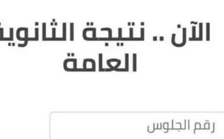 نتيجه الثانويه العامه دور تاني 2024 برقم الجلوس عبر موقع وزارة التربية والتعليم نتائج الامتحانات