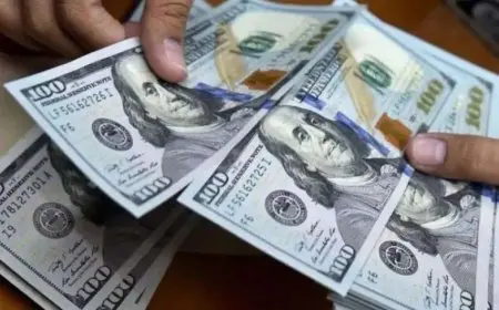 الأمريكي بكام؟.. سعر الدولار اليوم في السوق السوداء الأحد 3 نوفمبر 2024 واسعار صرف الدولار مقابل الجنيه المصري في البنوك