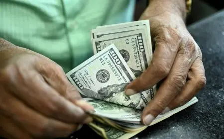 سعر الدولار اليوم في السوق السوداء مقابل الجنيه المصري الجمعة 1 نوفمبر 2024 وفي البنوك المصرية