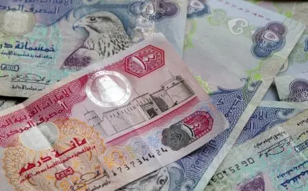 سعر الدرهم الإماراتي مقابل الجنيه المصري في السوق السوداء اليوم الاربعاء 18 ديسمبر 2024 وداخل البنوك
