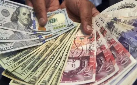 الأمريكي بكام؟.. سعر الدولار في السوق السوداء اليوم الجمعة 20-12-2024 مقابل الجنيه المصري