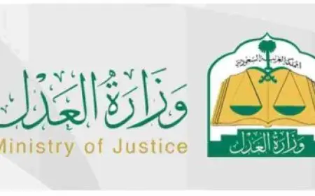 ما هي الأوراق المطلوبة لعمل توكيل بيع سيارة؟