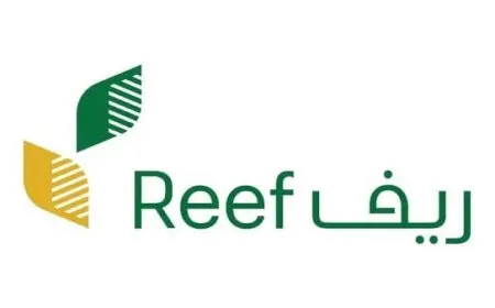 هل دعم ريف يؤثر على التقاعد