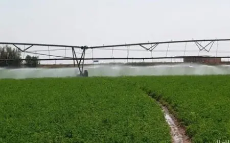 أراضي زراعية للشباب بالتقسيط 2024