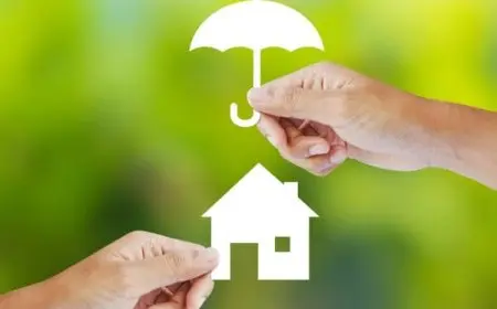 أسعار شركة بوبا للتأمين الصحي في مصر 2024