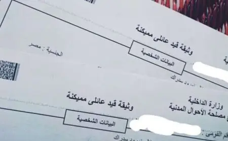 كيفية استخراج قيد عائلي من النت