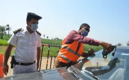 الاستعلام عن مخالفات المرور بالرقم القومي المصري إلكترونيا 2024