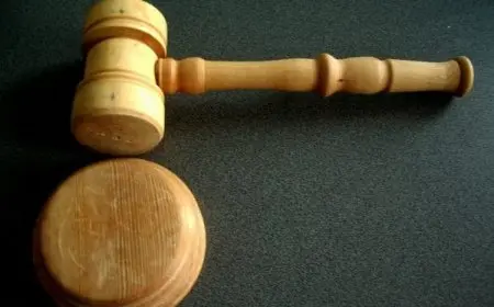 هل يحكم القاضي دون دليل