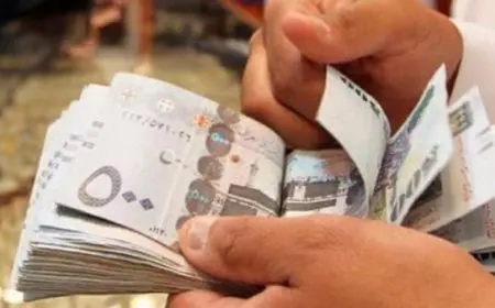 رابط التقديم على المساعدة المقطوعة إلكترونيا