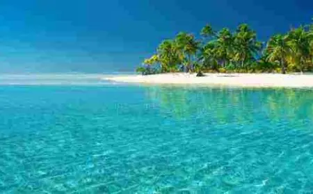 كلام عن البحر