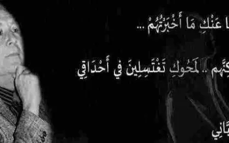 اجمل اشعار الغزل