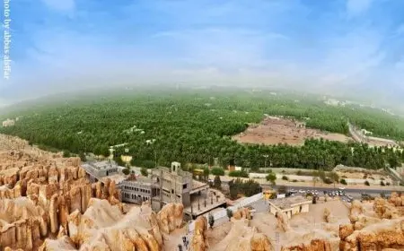 أجمل الأماكن السياحية في الإحساء السعودية 2024