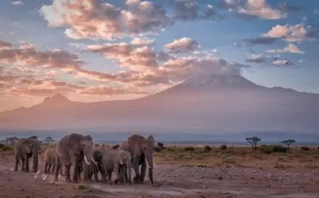 أين تقع كينيا؟