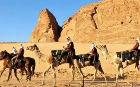 كم تبعد العلا عن الرياض