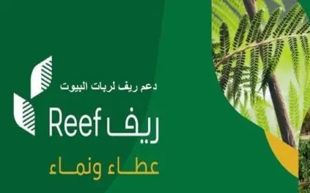 هل دعم ريف يؤثر على دعم المواشي