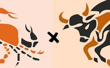 ماذا يحب رجل الثور في المرأة السرطان