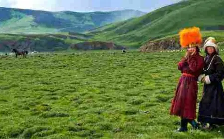 ما هي أكبر هضبة في العالم