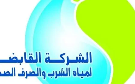 الاستعلام عن فاتورة المياه بالاسم الجيزة 2024