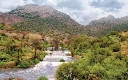 أفضل الأماكن في الشفا الطائف