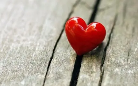 كيف تعرف أن الشخص يحبك أم لا