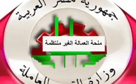 تسجيل بيانات العمالة الغير منتظمة