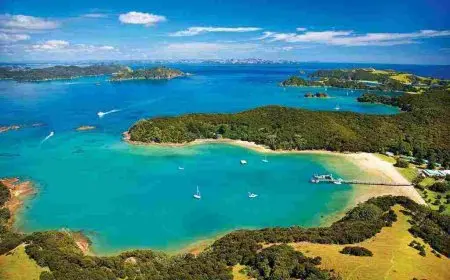 ما هو أكبر خليج في العالم