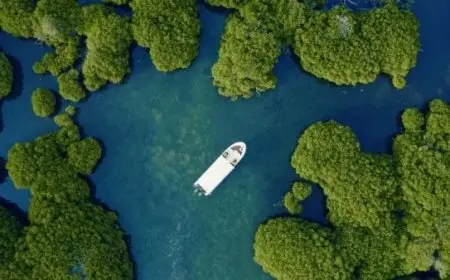 أفضل أماكن سياحية في جزيرة فرسان