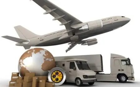 أرخص شركات شحن من أمريكا إلى مصر 2024