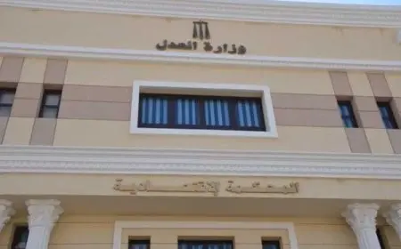 إجراءات رفع دعوى مطالبة مالية مع الصيغة