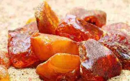 من أين يستخرج المسك؟