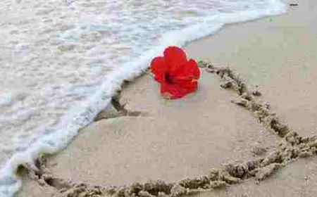 اجمل ما قيل عن البحر والحب