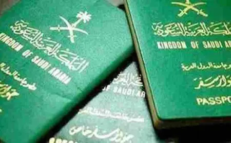 استعلام عن تأشيرة برقم الجواز أو رقم الهوية أو رقم الطلب