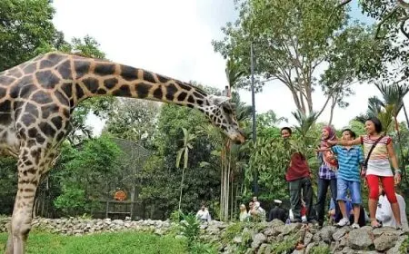 اقرب حديقة حيوانات من موقعي