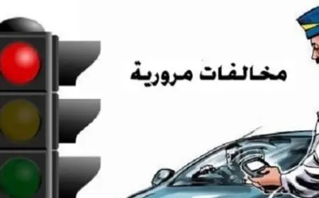 ادخل رقم لوحة السيارة للتأكد من المخالفات المرورية 2024