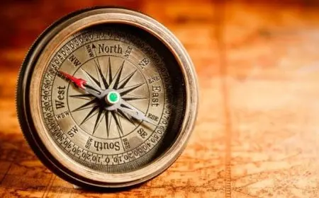 البوصلة الشخصية ناعمة الهاشمي