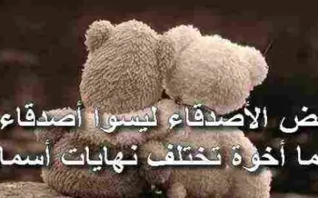 كلام جميل عن الأصدقاء