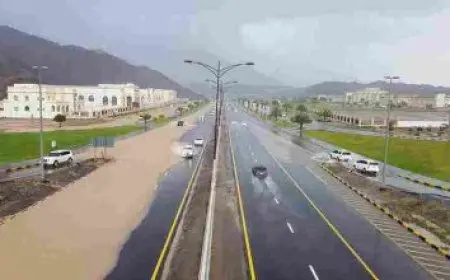 عدد سكان الصين 2024