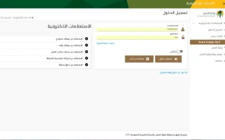 ادارة الخدمات الالكترونية لوزارة العمل