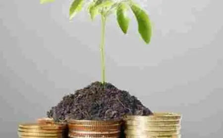 دفع زكاة الفطر اون لاين الكويت 2024