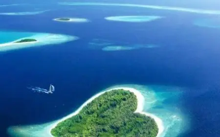 جزيرة في المحيط الهندي ما هي؟
